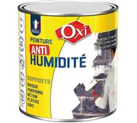 Peinture anti humidité 500 ml
