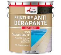 Peinture Antidérapante Sol Extérieur Intérieur 6 kg Telegris 4 | Antidérapante, Bonne Adhérence, Résiste à l'Abrasion, Carrelage, Béton, Bois, Piscine, Escalier - Arcane Industries
