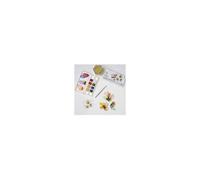 WINSOR & NEWTON Cotman Set de poche