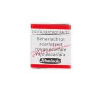 Peinture Aquarelle Horadam Demi,Godet Extra,Fine