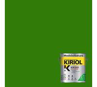 Peinture Bois et Métaux, Sous couche et Finition, Antirouille, sur Fer, Acier Galvanisé, même rouillés, très opacifiant, de MadeInNature (0.75 litre pour 10 m², soit 5 m² pour 2 couches, RAL 6010)