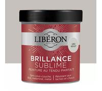 Libéron Peinture Brillance Sublime Gris reflet 0,5 L