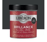 Peinture Brillance Sublime Libéron Noir absolu 0,5 L