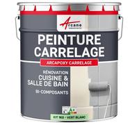 Peinture Carrelage Cuisine et Salle de Bain 1 kg Vert Blanc