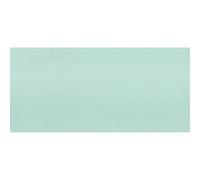 Peinture Craie Vert Tilleul - Chalky Finish - 100 Ml