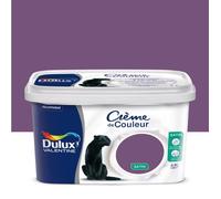 Peinture Crème De Couleur Prune 2,5 L
