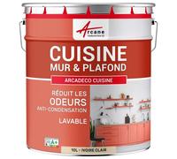 Peinture cuisine lessivable absorbe les odeurs Ivoire Clair - RAL 1015 10 L