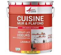 Peinture cuisine lessivable absorbe les odeurs Jaune Zinc - RAL 1018 2.5 L