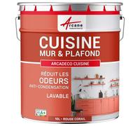 Peinture cuisine lessivable absorbe les odeurs Rouge corail RAL 3016 10 L