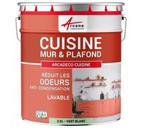 Peinture cuisine lessivable absorbe les odeurs Vert Blanc - RAL 6019 2.5 L