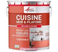 Peinture Cuisine Lessivable Anti-Odeur Mur Plafond 2.5 L Rose Clair | Anti-Odeur de Cuisson, Ultra Couvrante, Lessivable, Limite les Moisissures, Murs et Plafonds - Arcane Industries