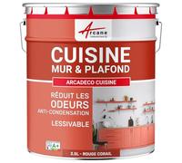 Peinture cuisine lessivable absorbe les odeurs Rouge corail RAL 3016 2.5 L
