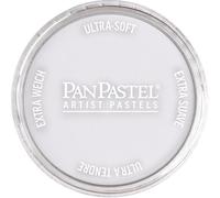 Peinture d'artiste Pan Pastel Paynes Gris 2 teintes
