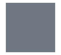 PEINTURE DIRECT FER GRIS FONCE RAL 7000 0.5L