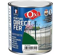 PEINTURE DIRECT FER VERT MOUSSE RAL 6005 0.5L