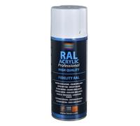 Peinture en aérosol pintyplus evolution 520cc ral 9010 blanc pur satiné