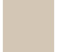Peinture façade acrylique 14 couleurs - durable jusqu'à 15 ans - rénovation façade, mur crépi - Arcafacade Renov Beige (Ral 080 80 10) 10L (+ ou - 60m² en 1 couche)