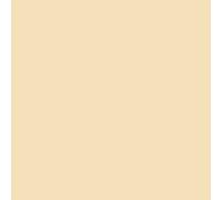 Peinture façade acrylique 14 couleurs - durable jusqu'à 15 ans - rénovation façade, mur crépi - Arcafacade Renov Ton Sable (Ral 085 90 20) 2.5L (+ ou - 15m² en 1 couche)