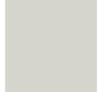 Peinture Façade Pliolite Hydrofuge 10 L Blanc Gris - RAL 9002 | Hydrofuge, Séchage Rapide, Anti-Encrassement, Bonne Accroche sur Façade, Fort Pouvoir Couvrant - Arcane Industries