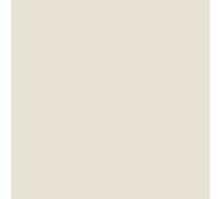 ARCANE INDUSTRIES Peinture Façade Pliolite Hydrofuge 10 L Blanc Crème | Hydrofuge, Séchage Rapide, Anti-Encrassement, Bonne Accroche sur Façade, Fort Pouvoir Couvrant - Arcane Industries