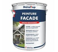 Peinture Facade - Pot 5 L - Metaltop - 7000 - Gris petit gris