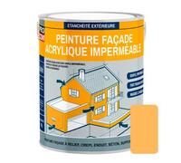 Peinture façade PROCOM crépi, façade à relief, imperméabilisation et protection des façades - Durable jusqu'à 10 ans 2.5 litres Jaune (RAL 075 80 50)