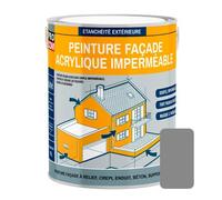Peinture façade PROCOM crépi, façade à relief, imperméabilisation et protection des façades - Durable jusqu'à 10 ans 2.5 litres Gris (RAL 7001)
