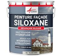 ARCANE INDUSTRIES Peinture Facade Siloxane Hydrofuge - ARCAFACADE SILOXANE - 10 L (+ ou - 60 m² en 1 Couche) Blanc Gris - RAL 9002