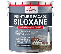 Peinture Facade Siloxane Hydrofuge - Durable jusqu a 15 ans - Rénovation Façade, mur crépi - ARCAFACADE SILOXANE Gris Taupe (Ral 7036) 10L (+ ou - 60m² en 1 couche)