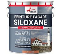 Peinture Façade Siloxane Hydrofuge 10 L Ocre - RAL 050 60 40