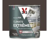 Peinture fer Climat Extrême brillant 0,5L (teinte au choix) V33 - Ton: Brun havane