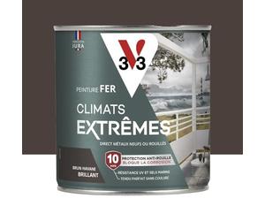 Peinture fer Climat Extrême brillant 0,5L (teinte au choix) V33 - Ton: Brun havane