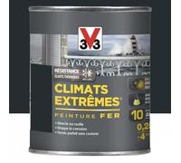 Peinture Fer Climats Extrêmes 0,000000 Bleu