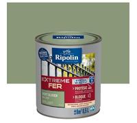 RIPOLIN Peinture pour Fer Extérieur Glycéro Antirouille Gris Clair 0,5 L | Peinture pour Fer Extérieur, Haute Protection, Extérieur, Brillant