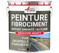 Peinture Fibrociment Amiante - Résine d'Encapsulage et Protection, Rénove et Protège Toiture Fibrociment, Imperméable et Durable - 2.5 L Ardoise - ARCANE INDUSTRIES