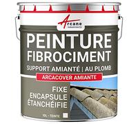 Peinture Fibrociment Amiante - Résine d'Encapsulage et Protection, Rénove et Protège Toiture Fibrociment, Imperméable et Durable - 10 L Blanc - ARCANE INDUSTRIES