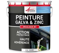 Peinture galva zinc toiture gouttière Blanc - RAL 9003 2.5 L
