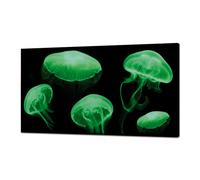 Peinture LUMINEUSE MEDUSE FLUO GL3498 PINTDECOR