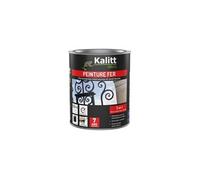 Peinture fer 3-en-1 intérieur et extérieur 0,5 L Brillant - Blanc