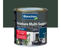 Peinture multi-supports application extérieur Vert mousse RAL 6005 2L BLANCHON