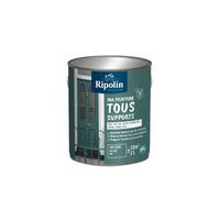 Peinture multi-supports - Vert cèdre - RAL 6000 - Mat - Ripolin - 2L