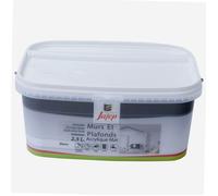 Peinture mur et plafond acrylique mat blanc 2 5L Jafep