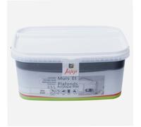 Peinture mur et plafond acrylique mat gris acier 2 5L Jafep