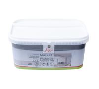 Peinture mur et plafond JAFEP béton gris mat 2,5 L