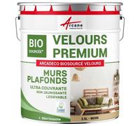 Peinture mur et plafond satin velours biosourcée Beige - RAL 1001 2.5 L (+ ou - 30m² par couche)