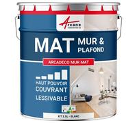 Peinture murale, mat blanche Blanc 2.5 L