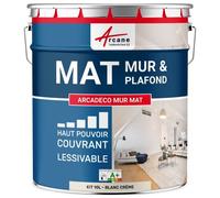 Peinture murale, mat blanche Blanc Crème - RAL 9001 10 L - ARCANE INDUSTRIES