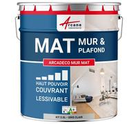 Peinture murale, mat blanche Gris Clair - RAL 7035 2.5 L - ARCANE INDUSTRIES