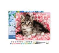 Peinture par Numéro Figured'Art avec Cadre - Chaton enrobé - Kit de Loisir Créatif DIY Numéro d'Art Complet - 40x50cm toile tendue sur châssis