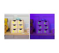 Peinture phosporescente fluo GLOW IN THE DARK DREAM
